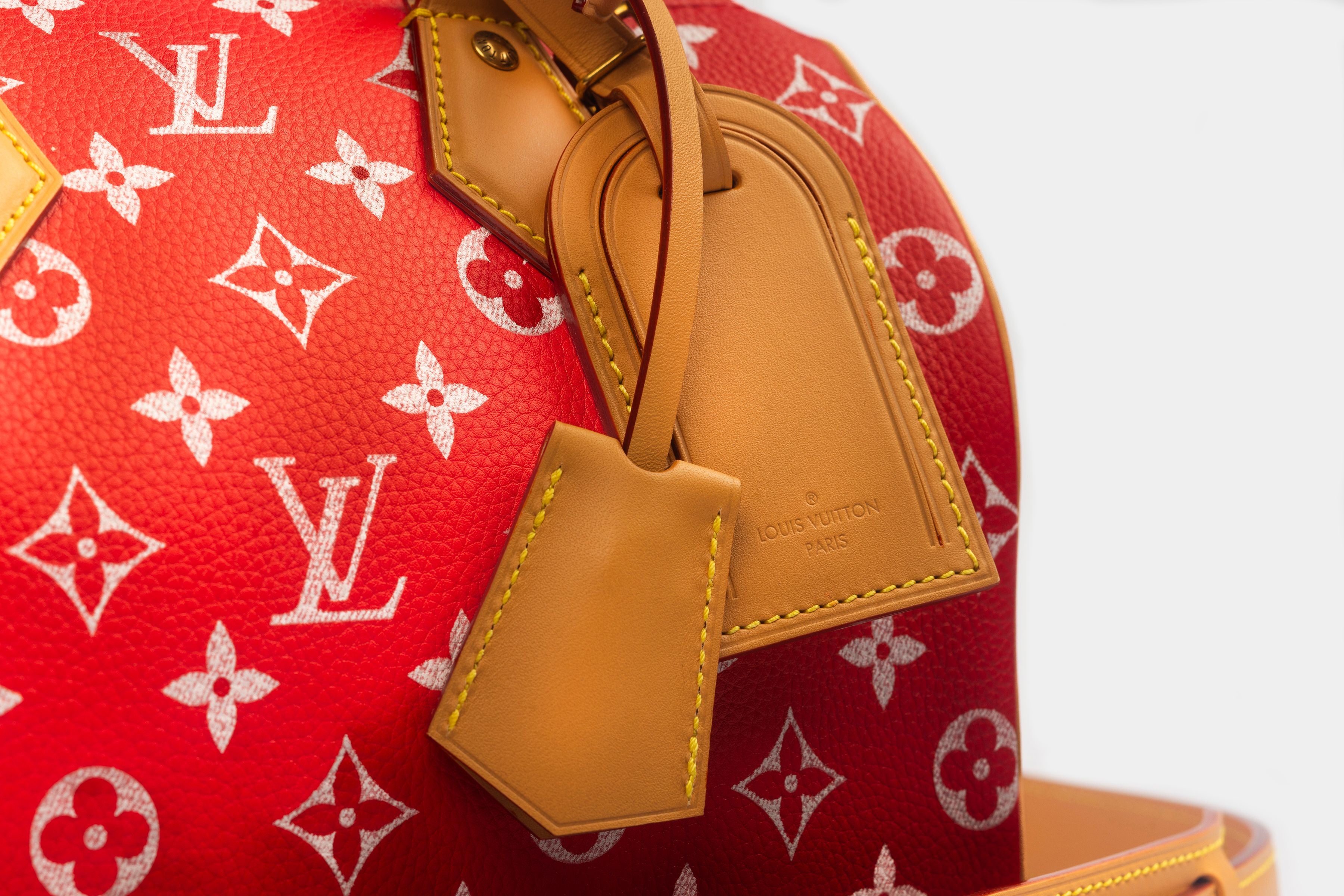 Close up of the Louis Vuitton Speedy P9 Bandouliere 25 LV tags