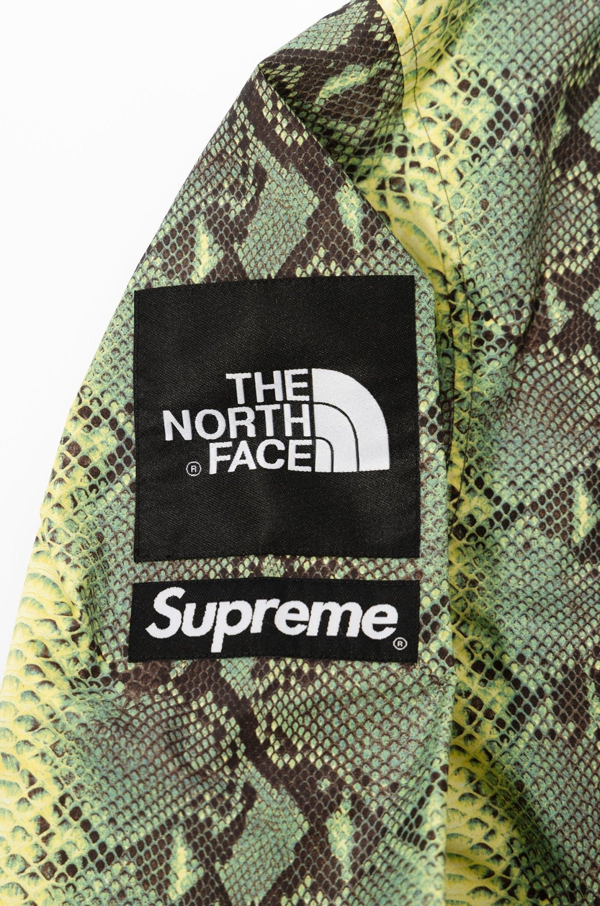 Supreme x The North Face Snakeskin Taped Seam Coaches Jacket 