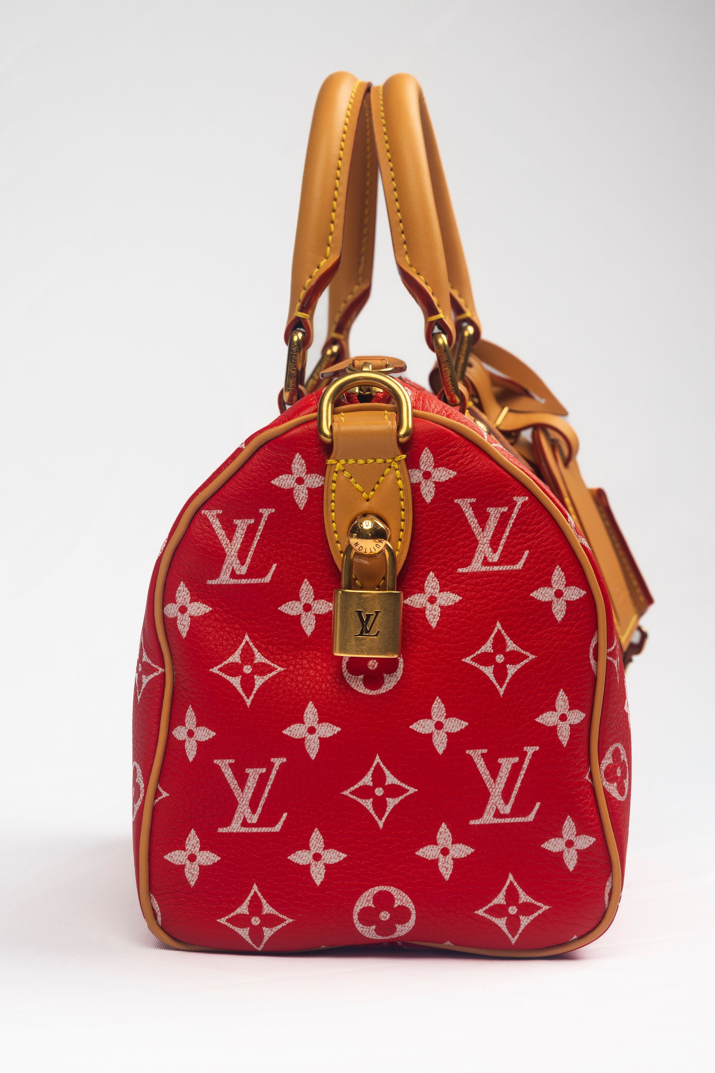 Louis Vuitton Speedy P9 Bandouliere 25 side view of the bag showing LV lock on it